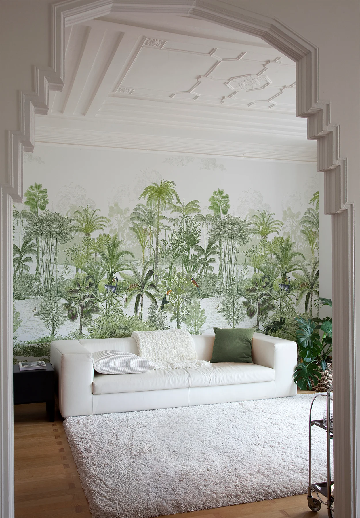 Amazone Naturel sur mesure - Image 3