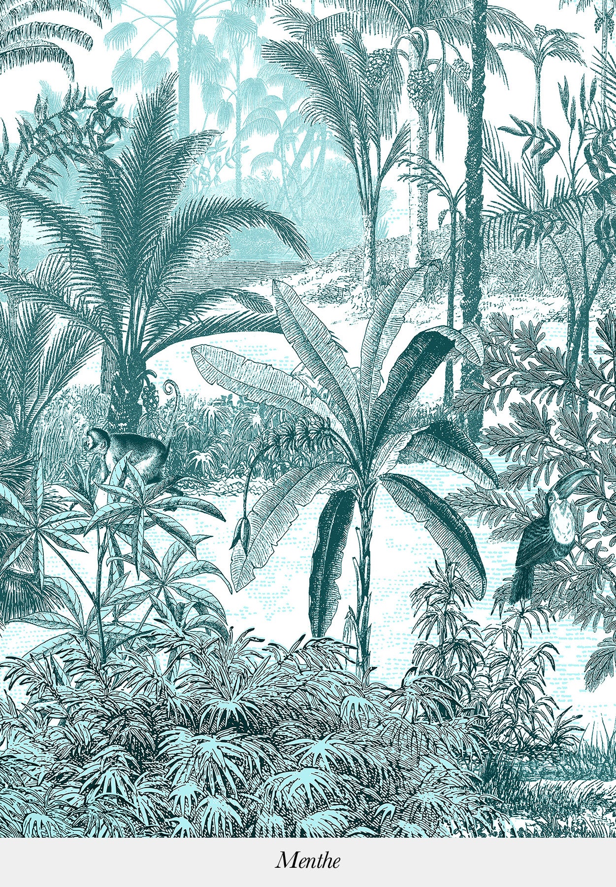 Amazone sur mesure - Image 9