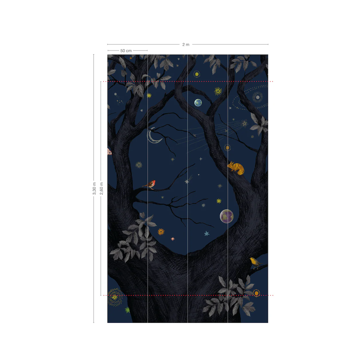 Arbracadabra Nuit - Image 5