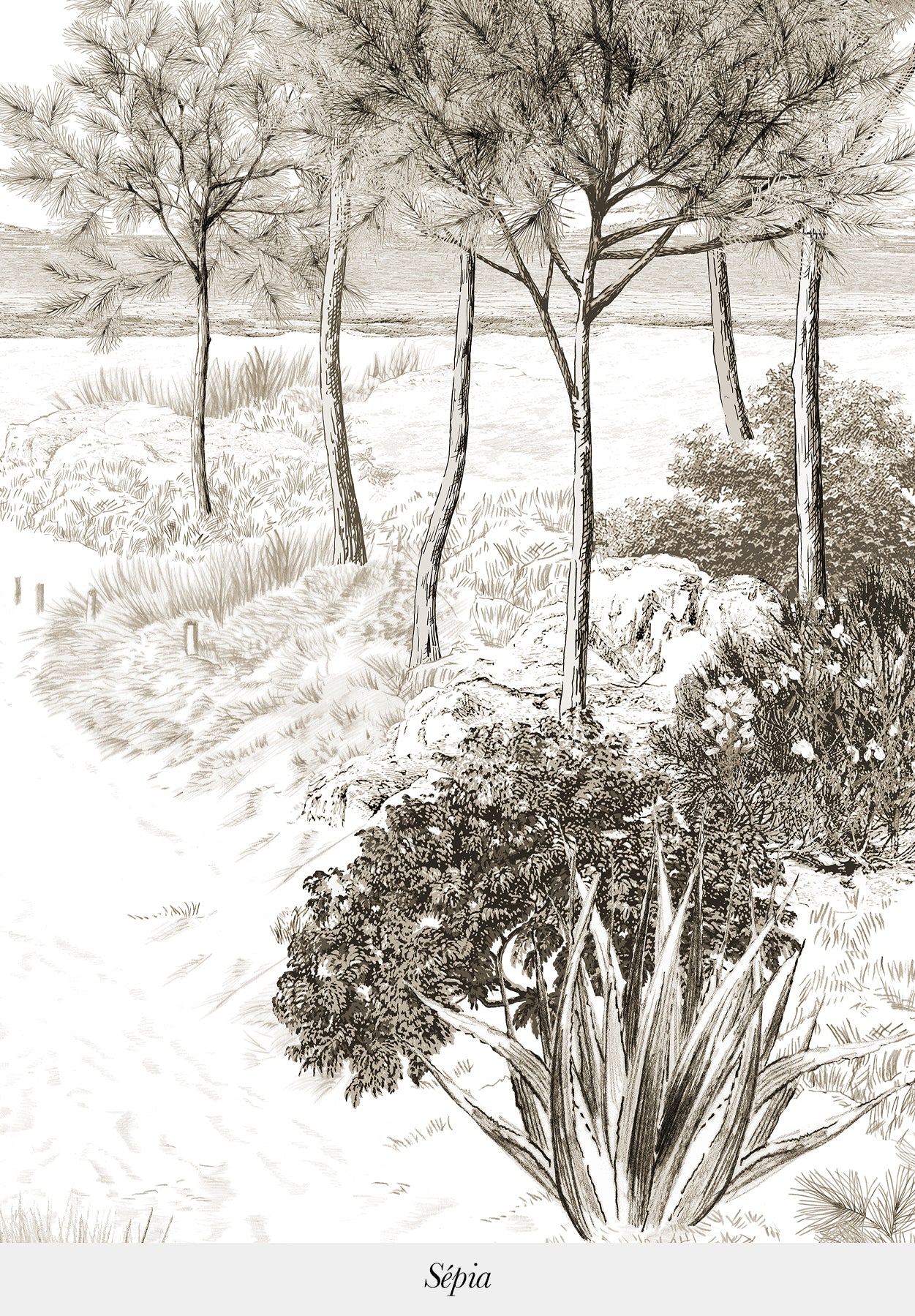 Dune sur mesure - Image 10