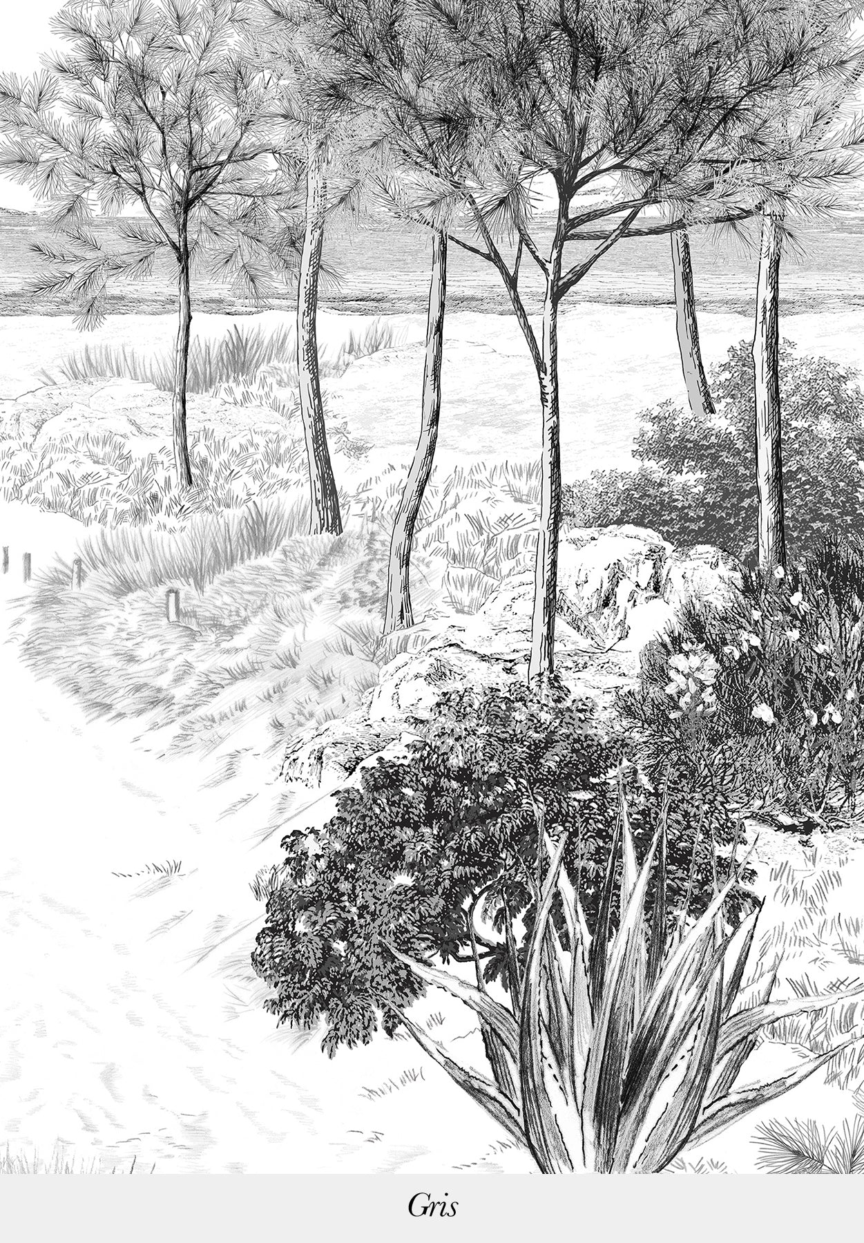 Dune sur mesure - Image 9