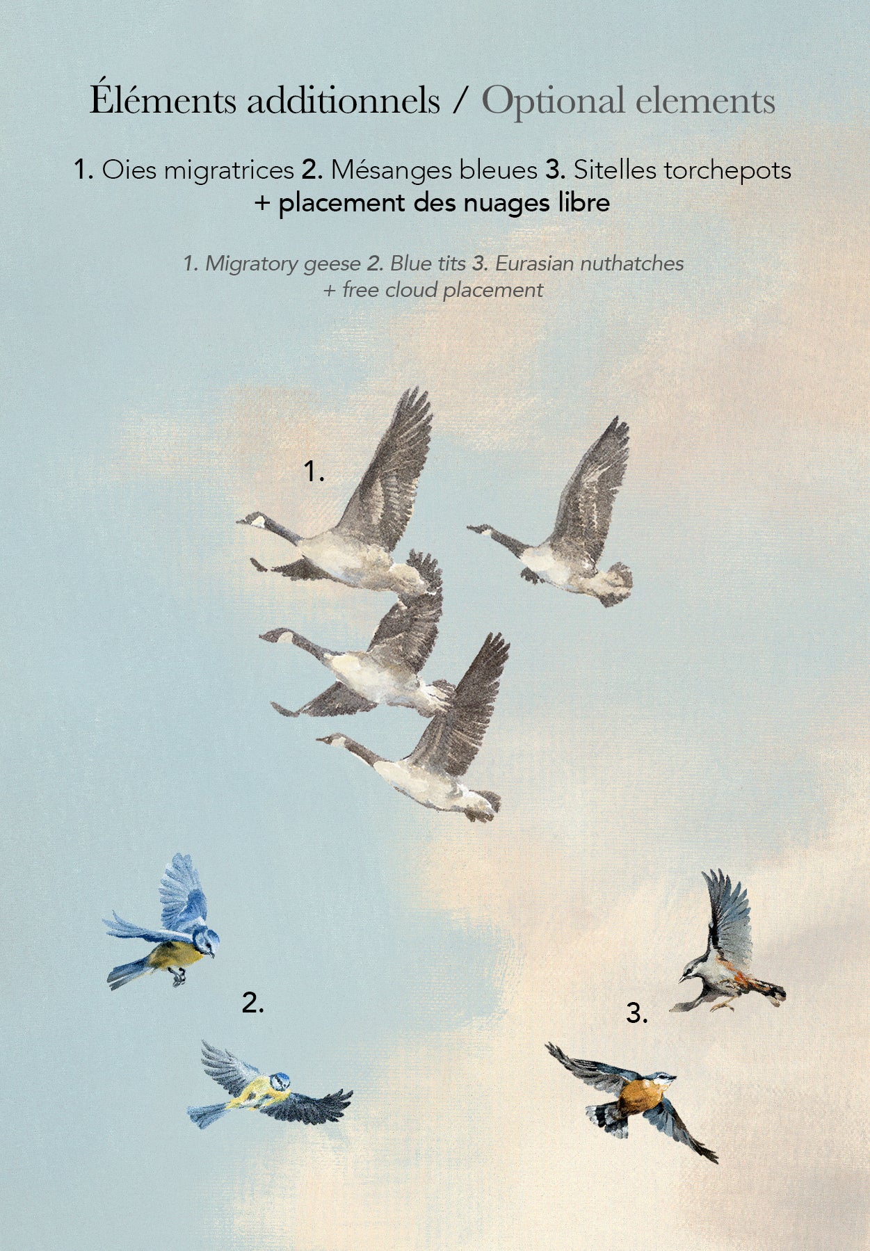 Éclaircie sur mesure - Image 3