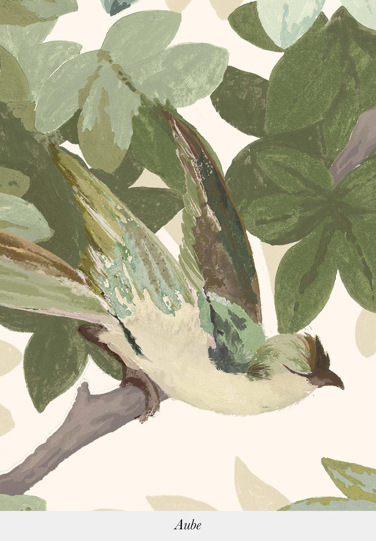 Les Oiseaux Sur Mesure - Image 4