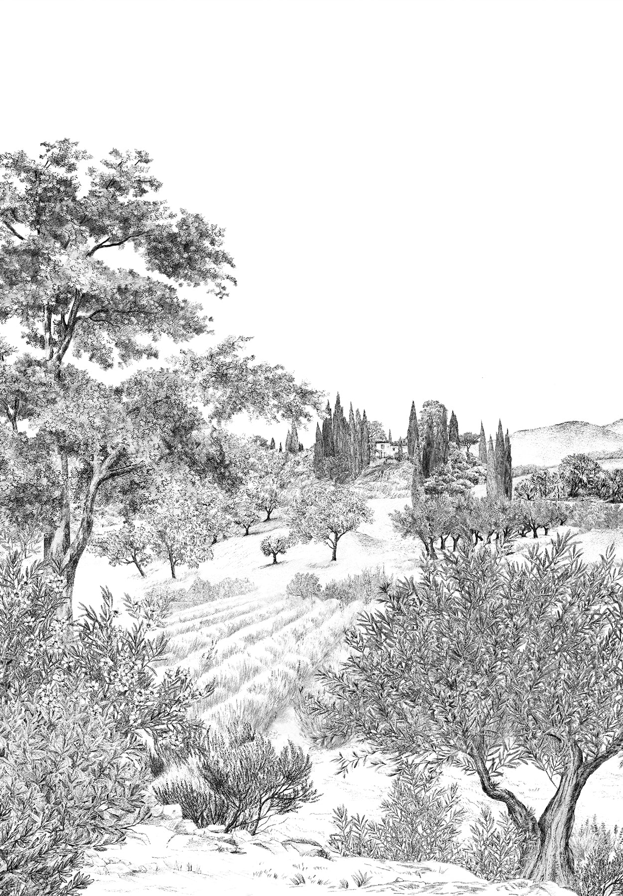 Provence Grisaille - Image 4