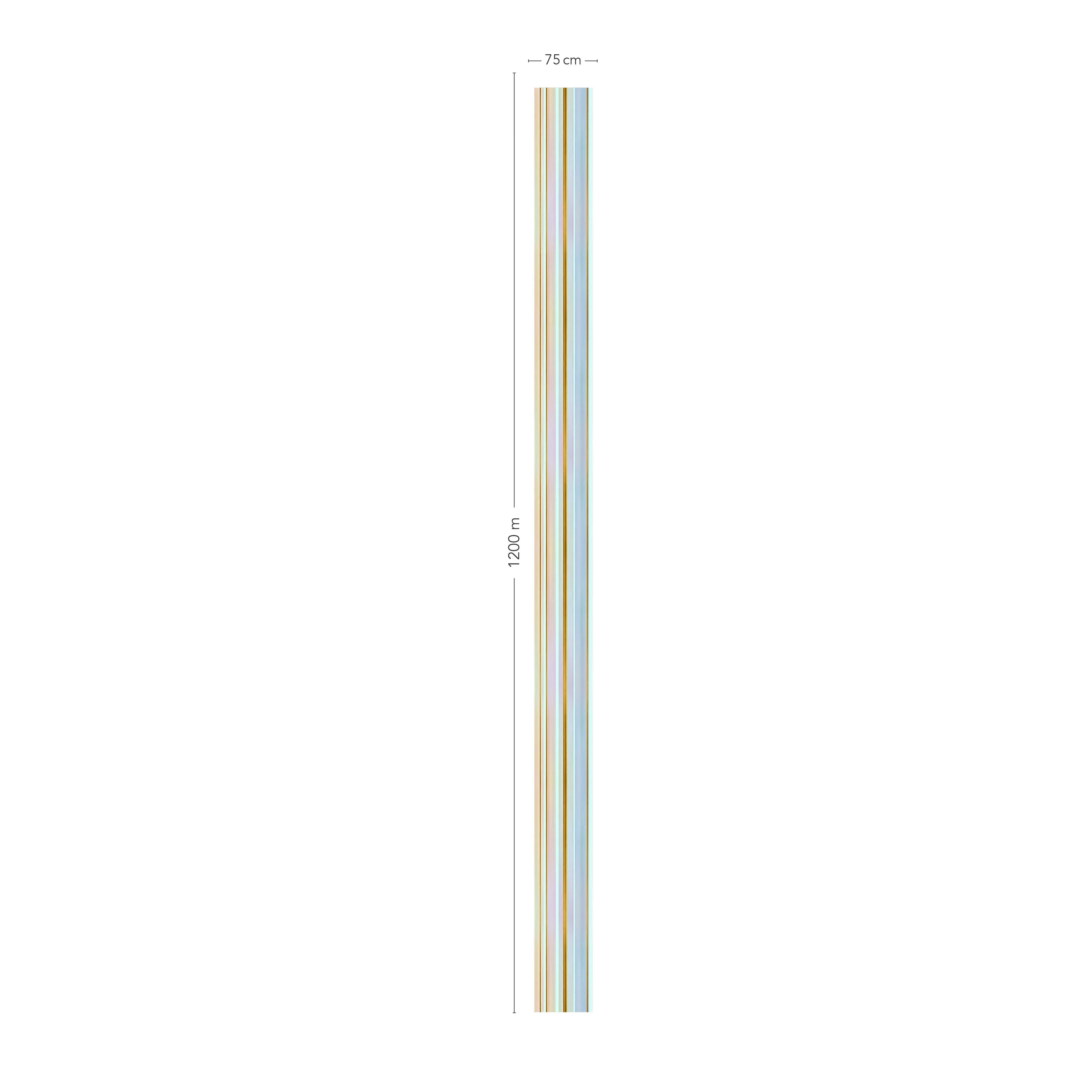 RAINBOW - Image 5