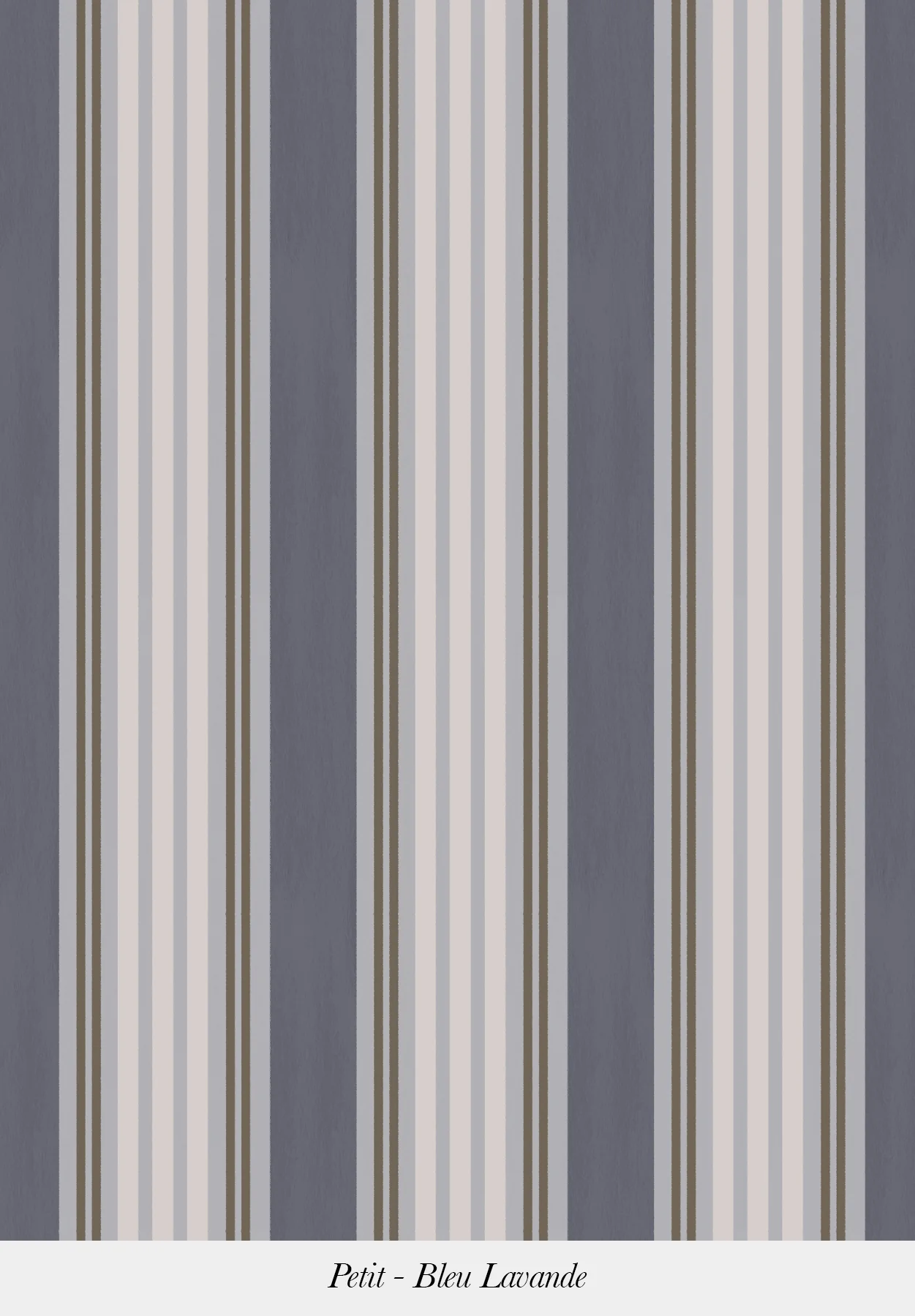 Rayure Claudine - Image 3