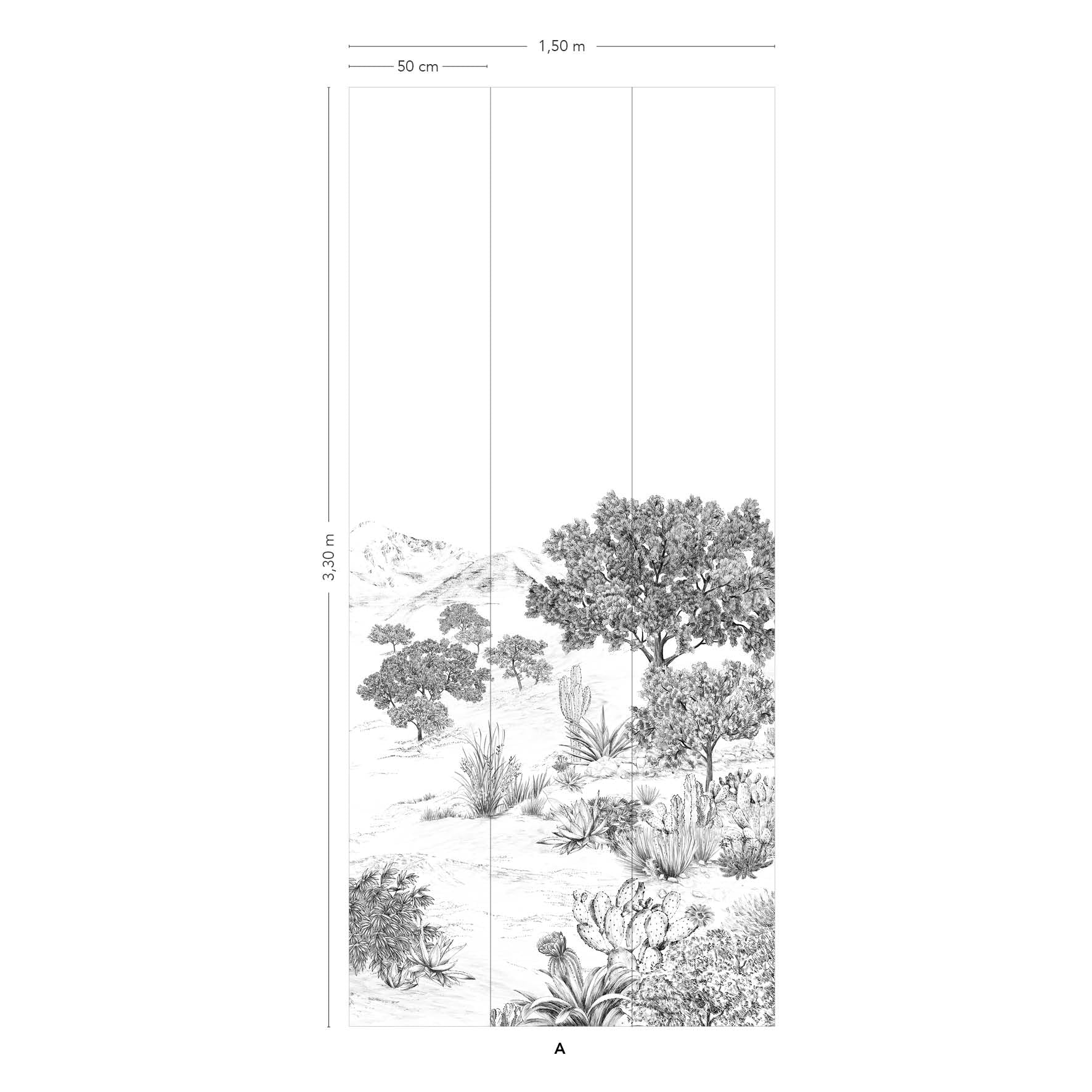 Succulentes - Image 6
