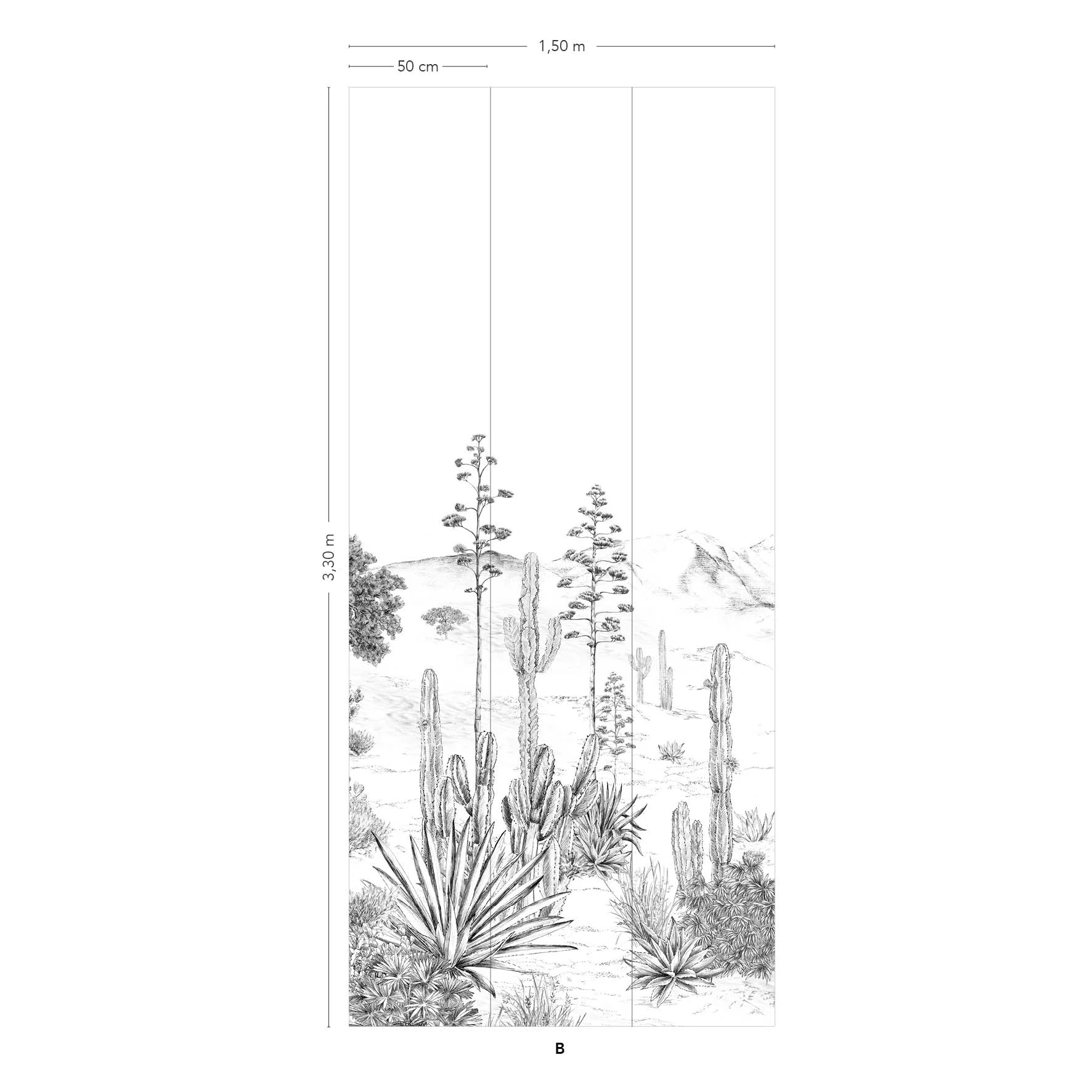 Succulentes - Image 7