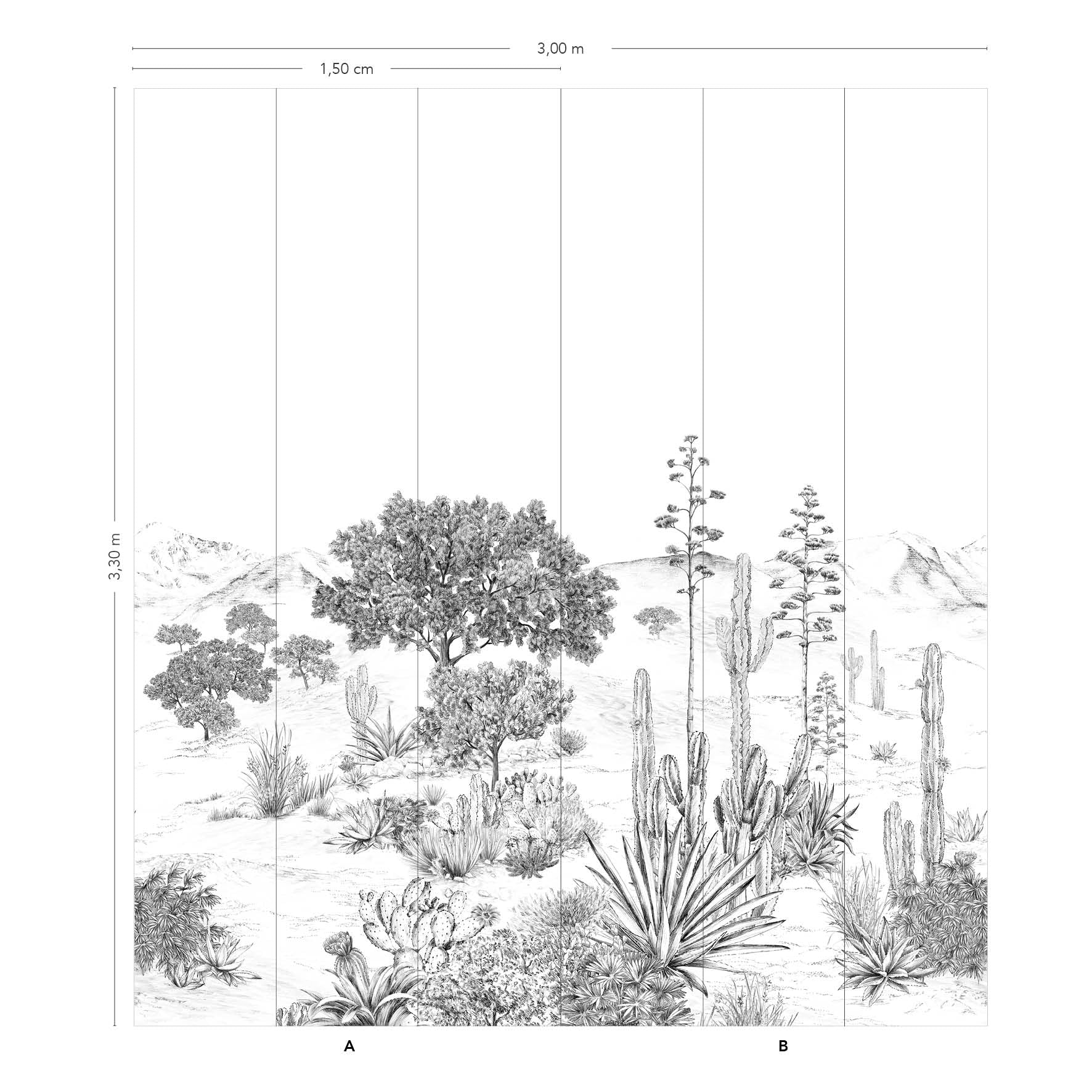 Succulentes - Image 8