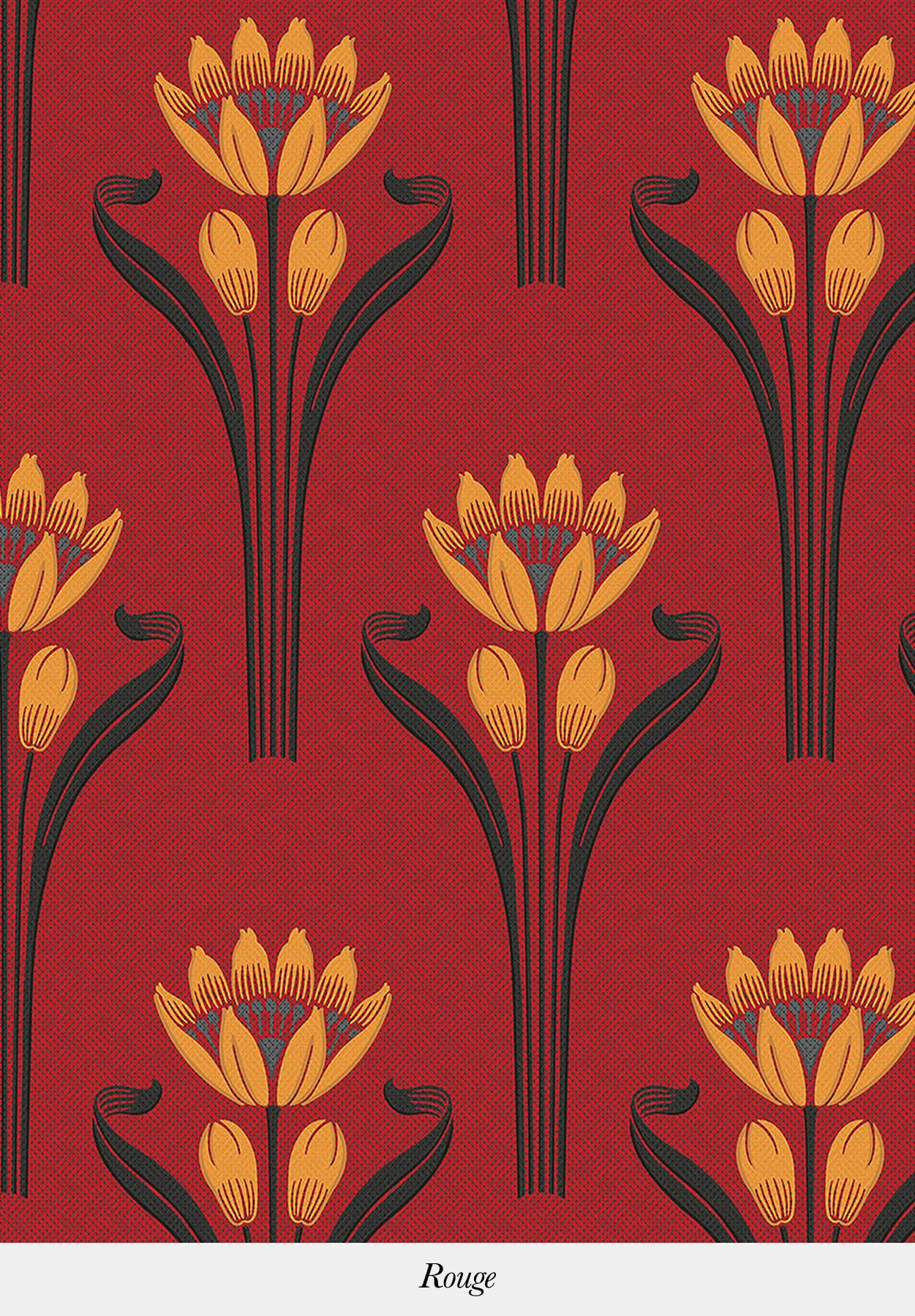 TULIPES - Image 11